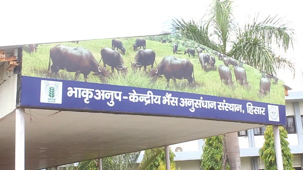 PunjabKesari, Haryana