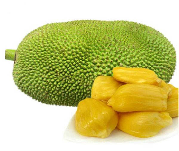 कटहल में ही नहीं, इसके बीज में भी छिपा है सेहत का राज