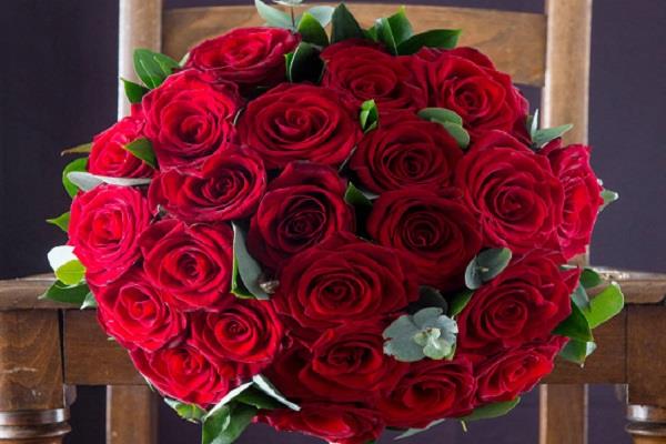 फूलों को लंबे समय तक ऐसे रखें तरोताजा