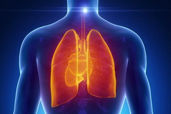 7 ऐसे हर्ब्स, जो वायु प्रदूषण में भी फेफड़ों को रखेंगे स्वस्थ