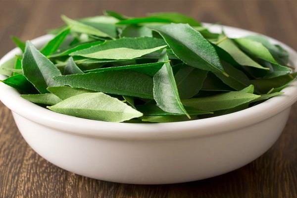 बालों को लंबा और मजबूत बनाएं करी पत्ते का हेयर पैक