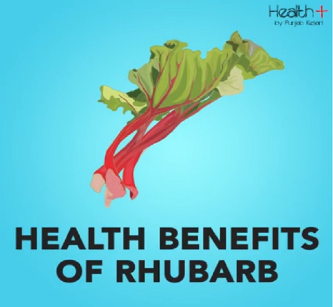 Rhubarb से ले कई स्वास्थ्य लाभ health benefits of rhubarb