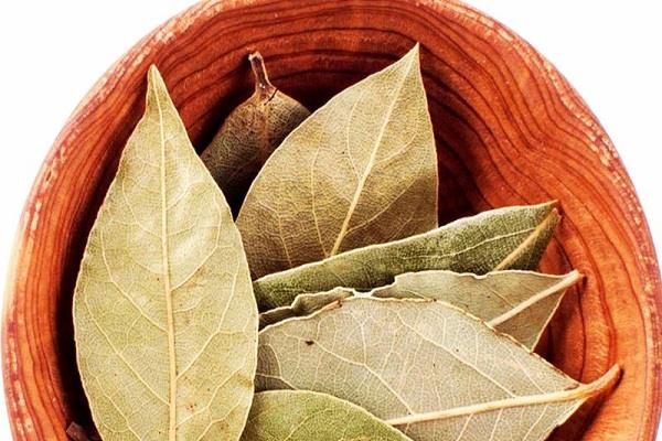 डायबिटीज से लेकर पथरी तक का इलाज करें तेजपत्ता