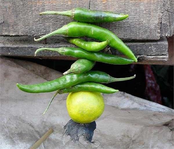 घर के बाहर नींबू-मिर्ची लगाने से मिलते हैं कई फायदे