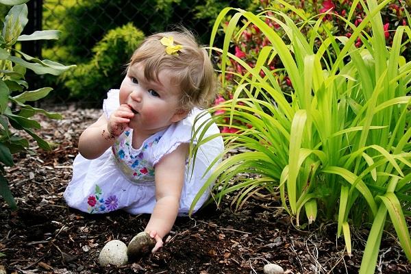 बच्चे की मिट्टी खाने का अचूक ईलाज़