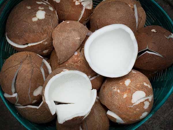 गर्भावस्था में खाएं सूखा नारियल, कई प्रॉबल्म हो जाएगी गायब