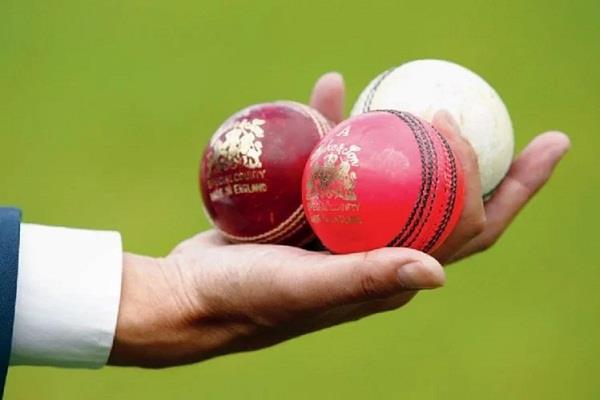 Sports crickets news in hindi