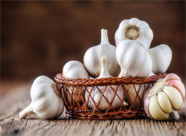 लहसुन के हैं अनेक फायदे ,त्वचा सम्बंधित हर बीमारी होगी दूर