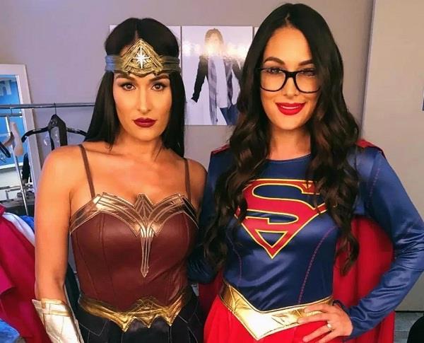 nikki bella and brie bella image