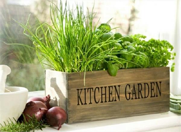 Winter Garden: 30 दिनों में घर पर ही उगाएं ये 5 सब्जियां