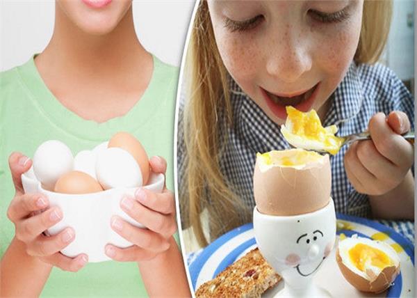 ब्राउन या व्‍हाइट, जानिए कौन-सा अंडा खाना है सेहत के लिए फायदेमंद