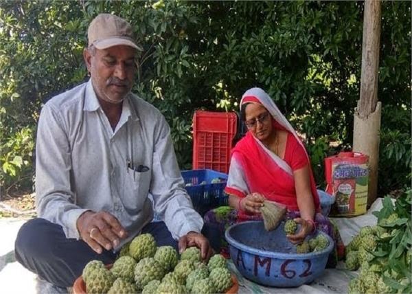 ऑर्गेनिक फार्मिंग से महीने में लाखों कमा रही है यह महिला किसान