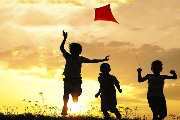 पतंग जरूर उड़ाओ, पर किसी के जीवन की डोर न कटे - fly a kite but do not cut the life of someone-mobile