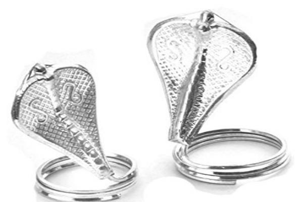 Image result for घर की नींव में क्यों डाला जाता हैं चांदी के नाग नागिन