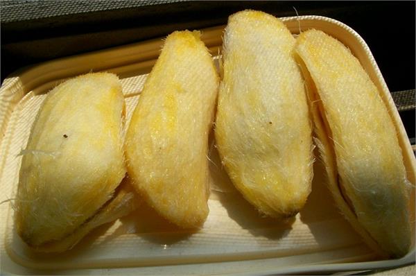 आम का फल ही नहीं, इसकी गुठली भी है फायदेमंद