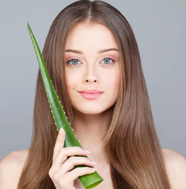 काले घेरे हो या सनबर्न, ब्यूटी की इन 8 प्रॉब्लम्स का हल है एलोवीरा