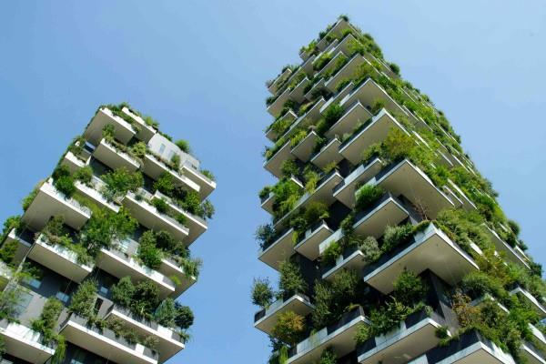 जानिए क्या है ग्रीन बिल्डिंग कॉन्सेप्ट के फायदे, प्रकृति जैसा मिलेगा अहसास  - benefits of green building concepts will reveal like nature-mobile