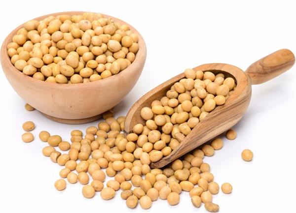 इन 7 हेल्थ कंडीशन में ना खाएं सोयाबीन, पहुंचा सकती है नुकसान