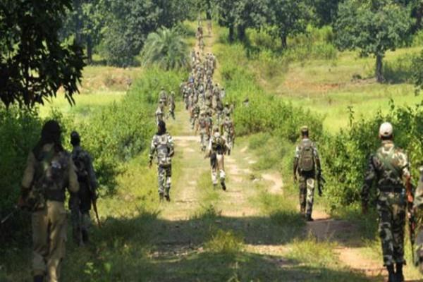 chhattisgarh-7-bodies-of-naxals-from-timenar-forest-area