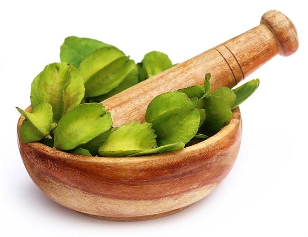 अर्जुन की छाल दिलाएं दिल के रोगों से राहत, जानिए और भी फायदे