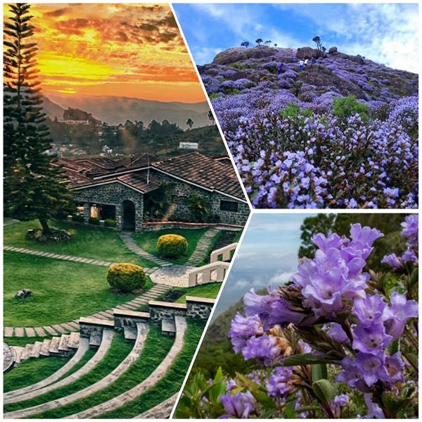 Wonderful! अभी देख लें यह खास फूल नहीं तो साल 2030 तक करना पड़ेगा इंतजार