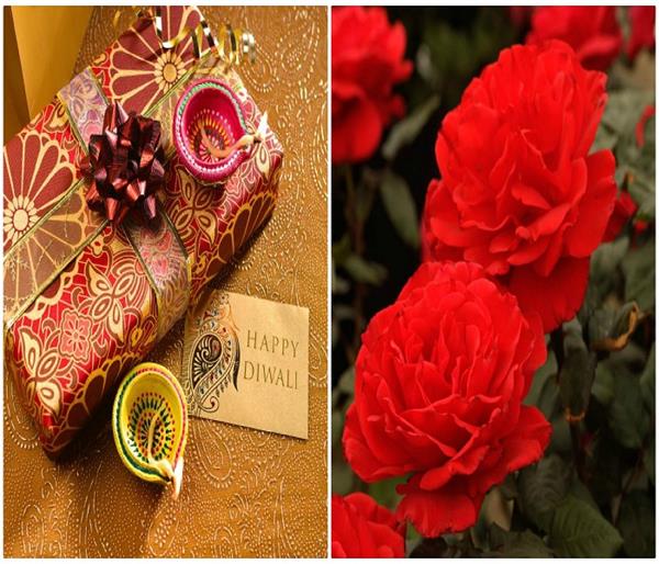 दिवाली पर अपनों को न दें ये गिफ्ट्स, पूजा में शामिल करें इस रंग के फूल