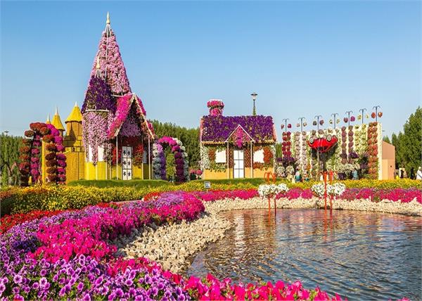 दुबई घूमने जा रहे हैं तो देखना ना भूलें दुनिया का सबसे बड़ा natural flower garden