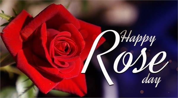 VALENTINE WEEK: कपल्स Rose day पर इन SMS के साथ करें इजहार-ए-इश्क