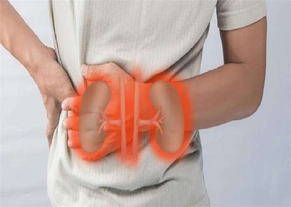 किडनी स्टोन की समस्या के 8 संकेत, 5 देसी टिप्स दिलाएंगे आराम