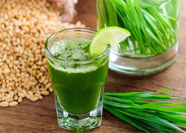 Wheat Grass Juice पीकर घटाएं वजन, मिलेंगे और भी लाजवाब फायदे