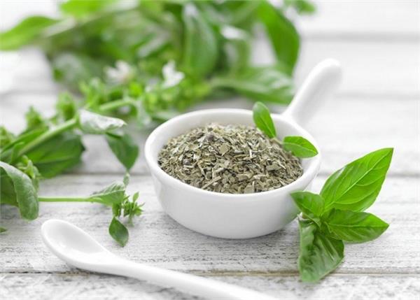 तुलसी से मिलते हैं कई फायदे ,जानें कैसे