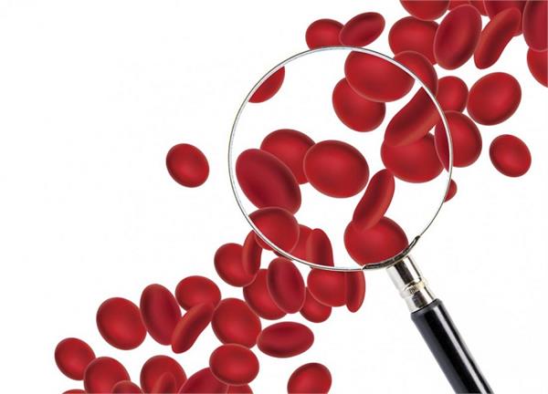 दवाइयों से नहीं, डाइट में ये 6 चीजें खाकर बढ़ाएं Red Blood सेल्स
