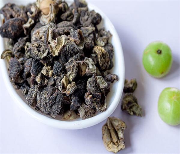 बालों की हर प्रॉब्लम का हल है आंवला, रीठा और शिकाकाई, यूं बनाएं मास्क और शैंपू