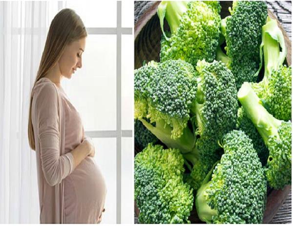 ब्रोकली खाने के 12 लाजवाब फायदे, प्रेग्नेंट महिलाओं के लिए वरदान