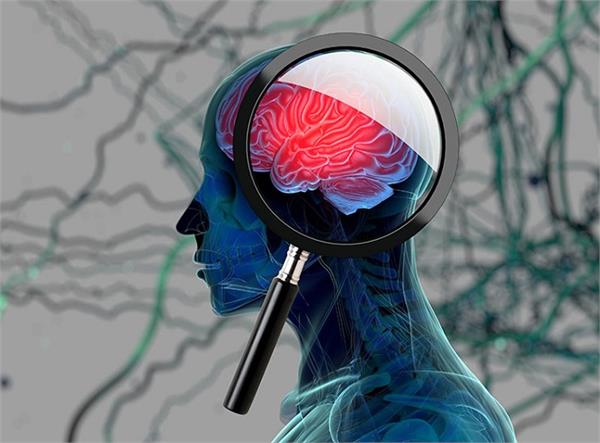 Health Update: नॉनवेज और हरी सब्जियों के शौकीन इस कीड़े से रहें सावधान