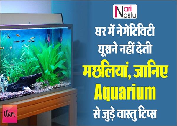घर में नेगेटिविटी घूसने नहीं देती मछलियां, जानिए Aquarium से जुड़े वास्तु टिप्स