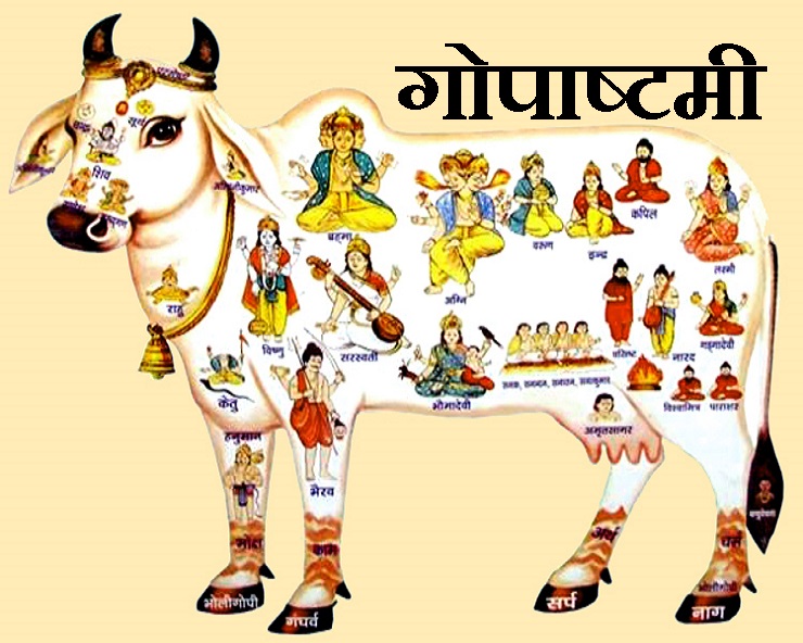 PunjabKesari, Gopashtami 2020, gopashtami 2020 date, gopashtami kab hai, gopashtami 2020 iskcon, gopashtami 2020 date and calendar, gopashtami 2020 Shubh Muhurta, gopashtami Pujan vidhi, fast and Festivals, Dharm, Punjab kesari