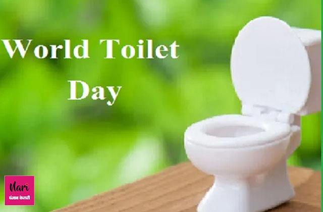 World Toilet Day 2020: क्यों मनाया जाता है यह दिन, जानिए इस बार की खास थीम