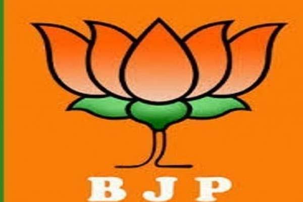 new team to bjp will be formed after delhi assembly election
