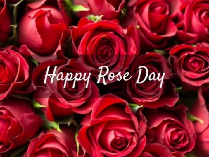 Rose Day 2026