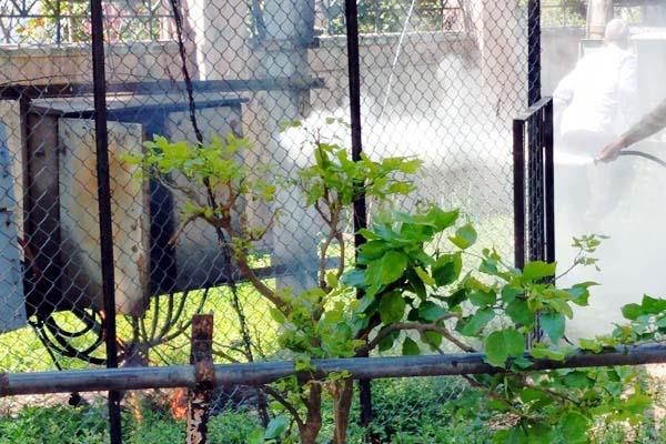 बिलासपुर अस्पताल में लगे ट्रांसफार्मर में धमाके के बाद लगी आग, मची अफरा-तफरी बिलासपुर अस्पताल में लगे ट्रांसफार्मर में धमाके के बाद लगी आग, मची अफरा-तफरी