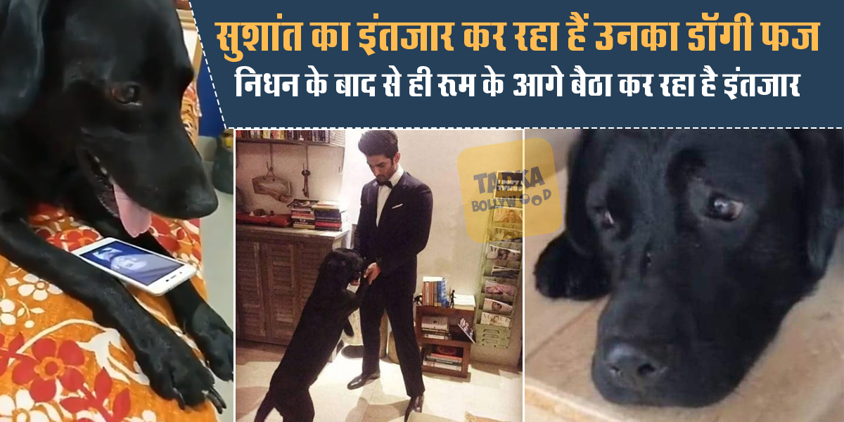 Heartbroken: सुशांत सिंह राजपूत के निधन से ...