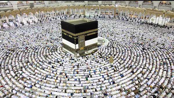 PunjabKesari  Devotees reaching Mecca