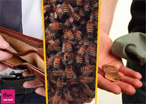 पैसे की बर्बादी लाता है मधुमक्खी का छत्ता, ये चीजें भी मानी जाती हैं अशुभ