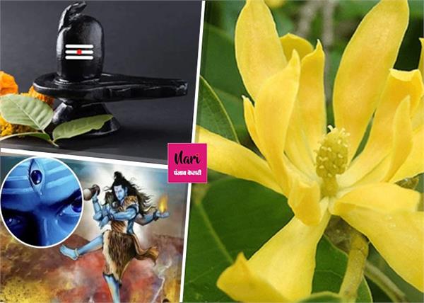 शिवलिंग पर क्यों वर्जित केतकी के फूल, भोलनाथ क्यों हो जाते हैं क्रोधित?
