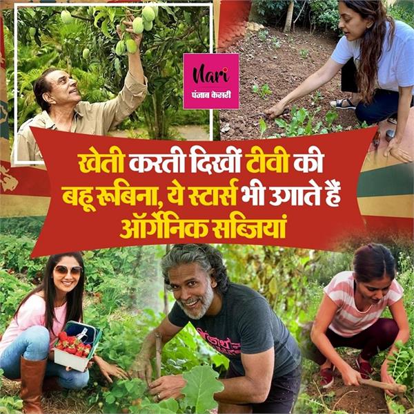 खेत में मूली उगाती दिखीं रूबिना, ये स्टार्स भी रखते हैं गार्डनिंग का शौक