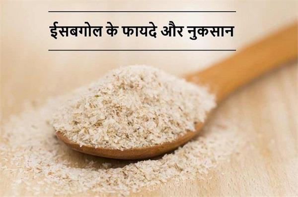 कब्ज का रामबाण इलाज इसबगोल, शर्तिया आपको नहीं पता होंगे ये फायदे
