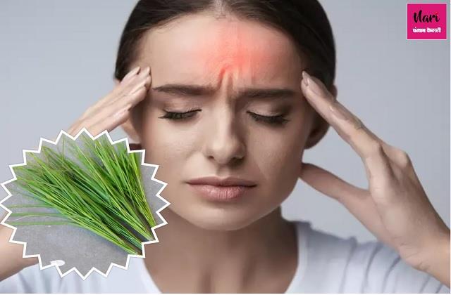 माइग्रेन के जिद्दी दर्द को दूर करता है दूर्वा, इस तरह करें सेवन