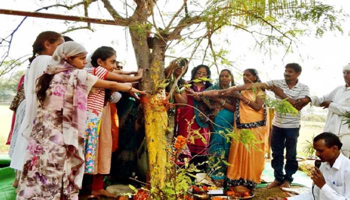 Amla Navami 2022: इन दिन क्या करें क्या नहीं, ज़रूर जानें - amla  navami-mobile