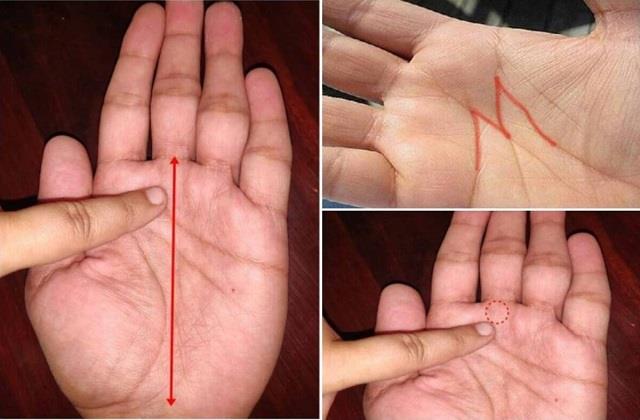 Lucky Line: हाथ में होगी ऐसी भाग्य रेखा तो धन-दौलत की नहीं आएगी कमी